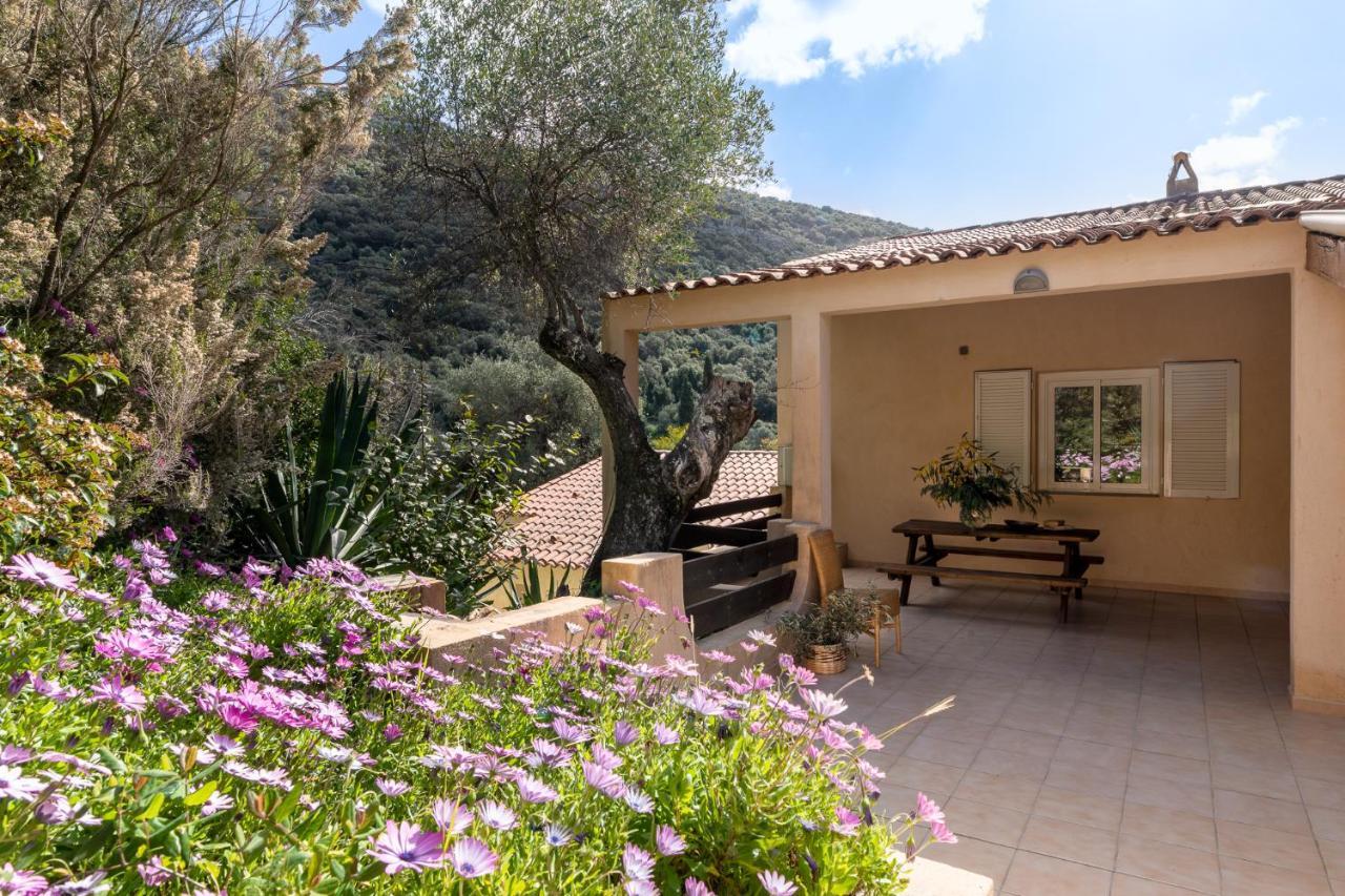 Residence Helios Cargèse Exterior foto